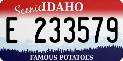 ID license plate E233579