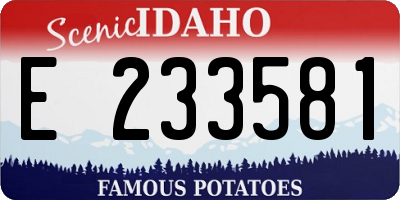 ID license plate E233581