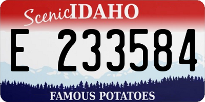 ID license plate E233584