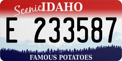 ID license plate E233587