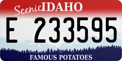 ID license plate E233595