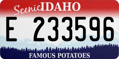 ID license plate E233596