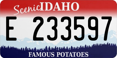 ID license plate E233597