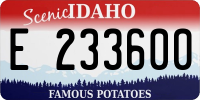 ID license plate E233600