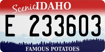 ID license plate E233603