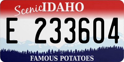 ID license plate E233604