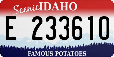 ID license plate E233610