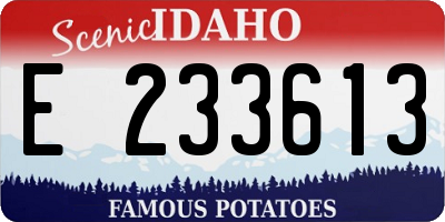 ID license plate E233613