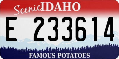 ID license plate E233614