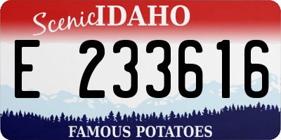ID license plate E233616