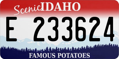 ID license plate E233624