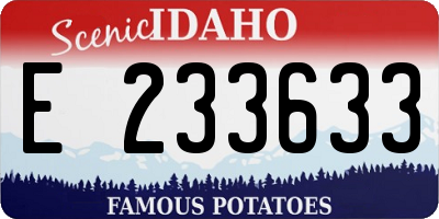 ID license plate E233633