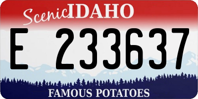 ID license plate E233637