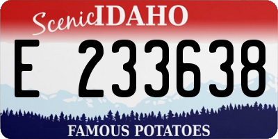 ID license plate E233638