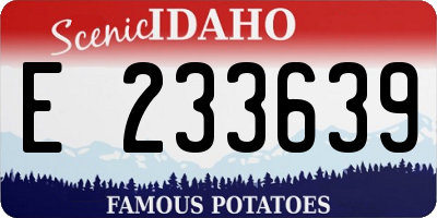 ID license plate E233639