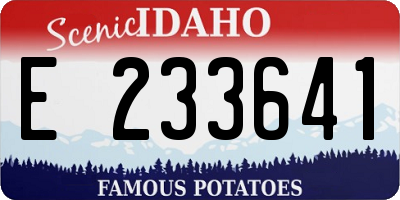 ID license plate E233641
