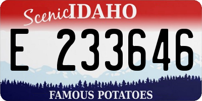 ID license plate E233646