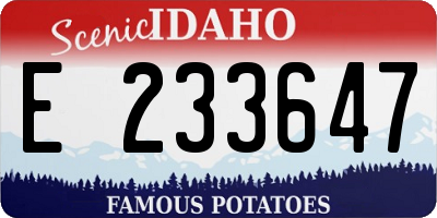ID license plate E233647