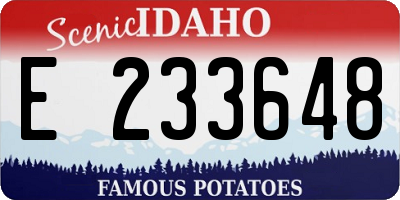 ID license plate E233648