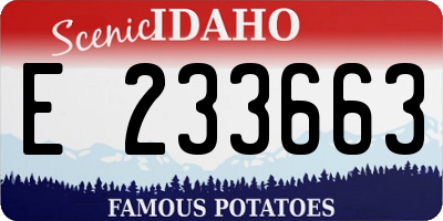 ID license plate E233663