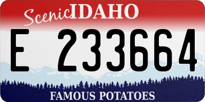 ID license plate E233664