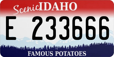 ID license plate E233666