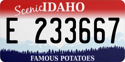 ID license plate E233667
