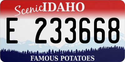 ID license plate E233668