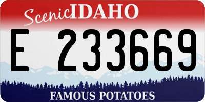 ID license plate E233669