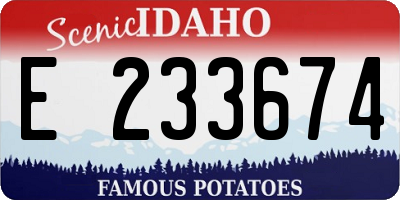 ID license plate E233674