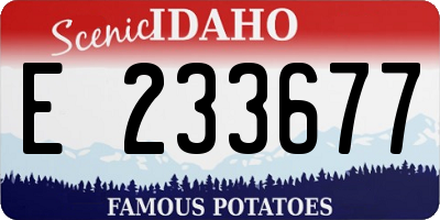 ID license plate E233677