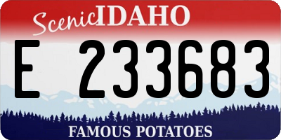 ID license plate E233683