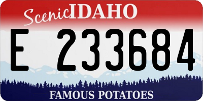 ID license plate E233684