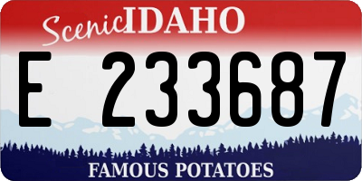 ID license plate E233687