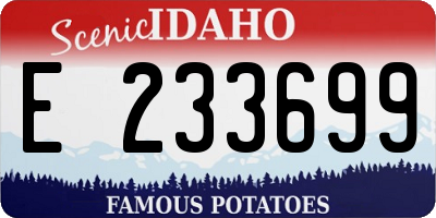 ID license plate E233699