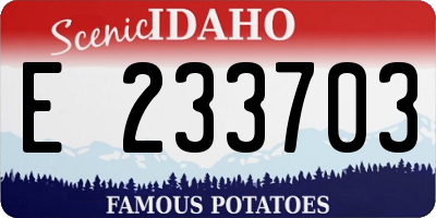 ID license plate E233703