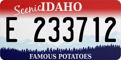 ID license plate E233712