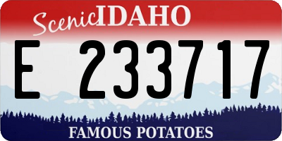 ID license plate E233717