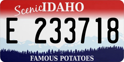 ID license plate E233718