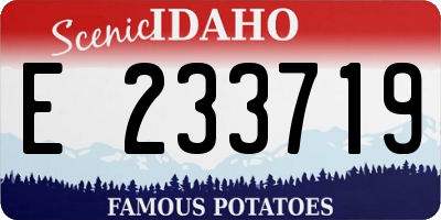 ID license plate E233719