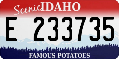 ID license plate E233735