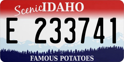 ID license plate E233741