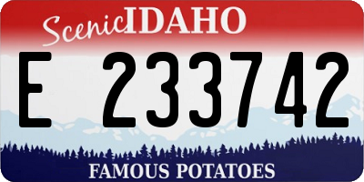 ID license plate E233742