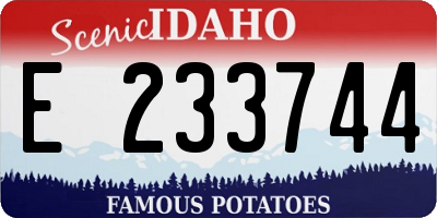 ID license plate E233744