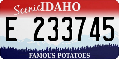 ID license plate E233745
