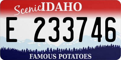 ID license plate E233746