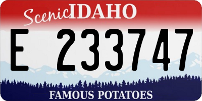 ID license plate E233747