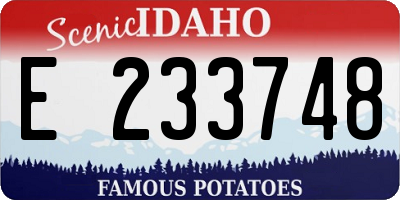 ID license plate E233748