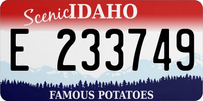 ID license plate E233749