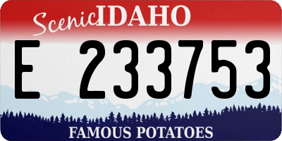 ID license plate E233753